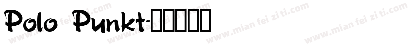 Polo Punkt字体转换